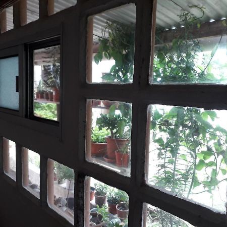 Hostel La Cruz Del Sur Ла-Палома Екстер'єр фото