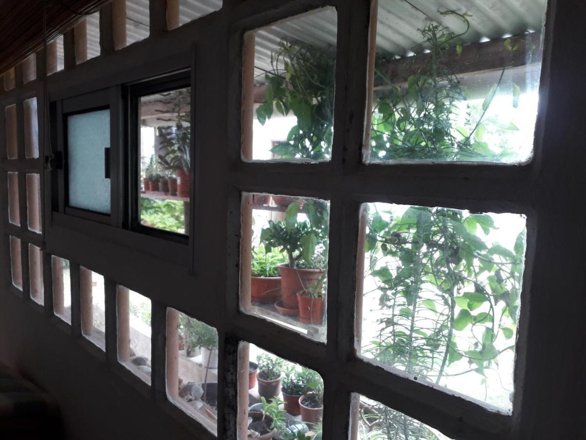 Hostel La Cruz Del Sur Ла-Палома Екстер'єр фото