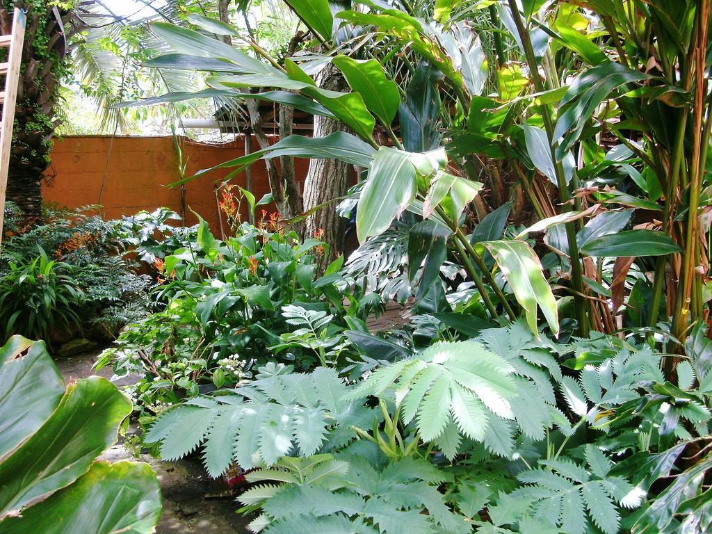 Hostel La Cruz Del Sur Ла-Палома Екстер'єр фото