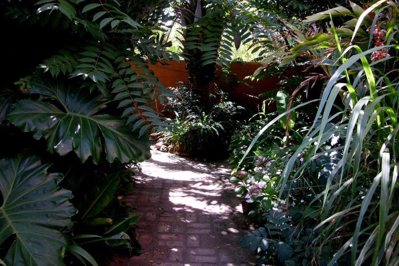 Hostel La Cruz Del Sur Ла-Палома Екстер'єр фото